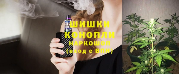 стаф Ветлуга