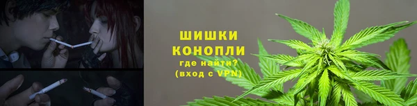 прущий лед Краснослободск