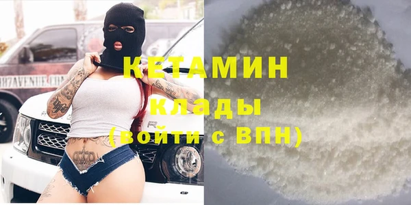 сатива Корсаков
