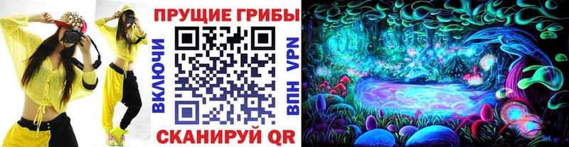как найти   Красный Сулин  Псилоцибиновые грибы MAGIC MUSHROOMS 