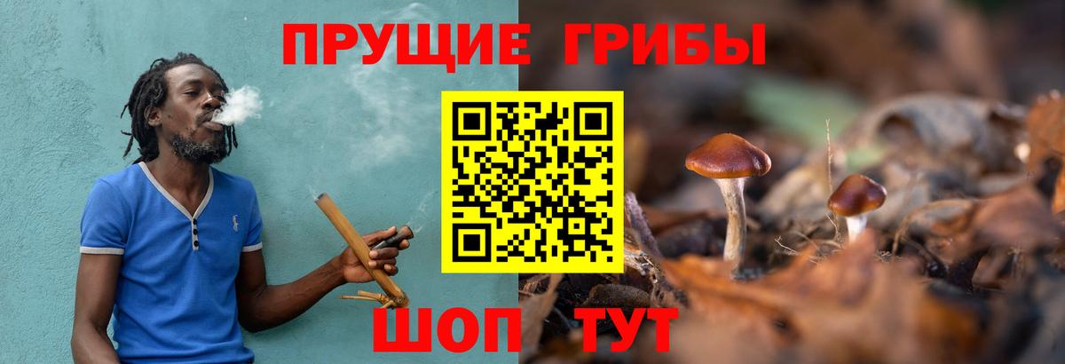 Галлюциногенные грибы ЛСД Красный Сулин